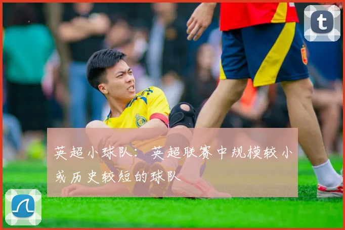 英超小球队:英超联赛中规模较小或历史较短的球队